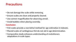 Study of Scales and Age Determination of Fishes using Scales[.pptx