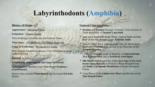 Study of Vertebrate Fossil upto Class.pptx