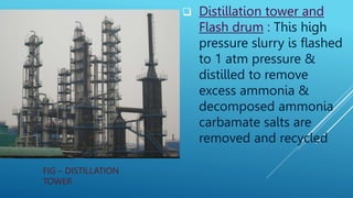 FIG – DISTILLATION
TOWER
 Distillation tower and
Flash drum : This high
pressure slurry is flashed
to 1 atm pressure &
distilled to remove
excess ammonia &
decomposed ammonia
carbamate salts are
removed and recycled
 