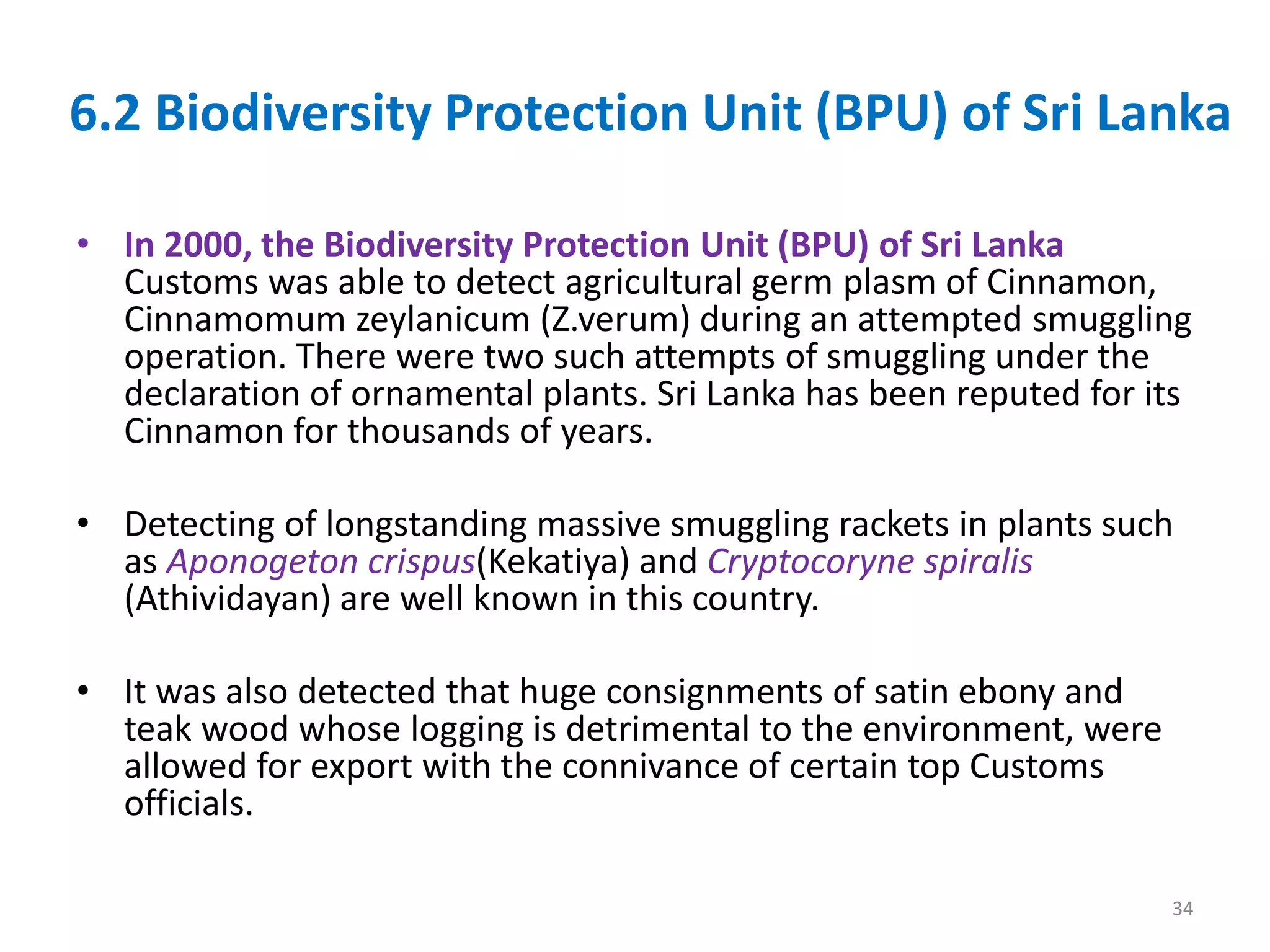 6.2 Biodiversity Protection Unit (BPU) of Sri Lanka
• In 2000, the Biodiversity Protection Unit (BPU) of Sri Lanka
Customs was able to detect agricultural germ plasm of Cinnamon,
Cinnamomum zeylanicum (Z.verum) during an attempted smuggling
operation. There were two such attempts of smuggling under the
declaration of ornamental plants. Sri Lanka has been reputed for its
Cinnamon for thousands of years.
• Detecting of longstanding massive smuggling rackets in plants such
as Aponogeton crispus(Kekatiya) and Cryptocoryne spiralis
(Athividayan) are well known in this country.
• It was also detected that huge consignments of satin ebony and
teak wood whose logging is detrimental to the environment, were
allowed for export with the connivance of certain top Customs
officials.
34
 