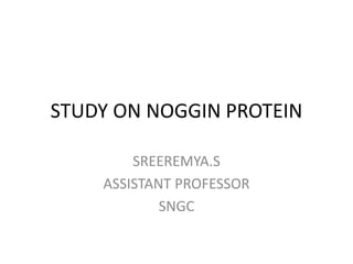 STUDY ON NOGGIN PROTEIN
SREEREMYA.S
ASSISTANT PROFESSOR
SNGC
 
