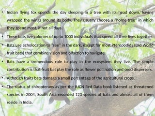 STUDY ON POPULATION AND ROOSTING ECOLOGY OF BATS IN AND AROUND ...