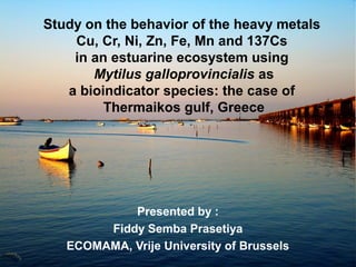 Study on the behavior of the heavy metals
Cu, Cr, Ni, Zn, Fe, Mn and 137Cs
in an estuarine ecosystem using
Mytilus galloprovincialis as
a bioindicator species: the case of
Thermaikos gulf, Greece
Presented by :
Fiddy Semba Prasetiya
ECOMAMA, Vrije University of Brussels
 