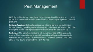 Pest Management
With the cultivation of crops there comes the pest problems and n crop
protection, the same is true for te...