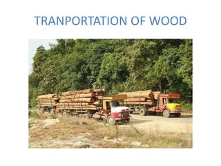 TRANPORTATION OF WOOD
 