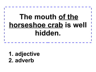 The mouth  of the horseshoe crab  is well hidden. 1. adjective 2. adverb  