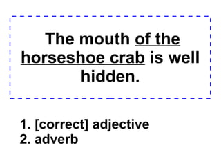 The mouth  of the horseshoe crab  is well hidden. 1. [correct] adjective 2. adverb  