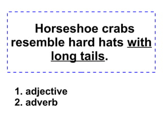 Horseshoe crabs resemble hard hats  with long tails .  1. adjective 2. adverb  