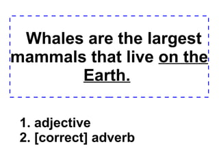 Whales are the largest mammals that live  on the Earth.   1. adjective 2. [correct] adverb  