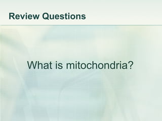 Review Questions What is mitochondria? 
