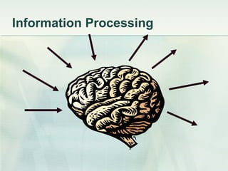 Information Processing 