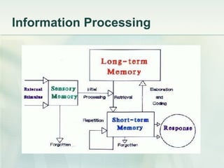 Information Processing 