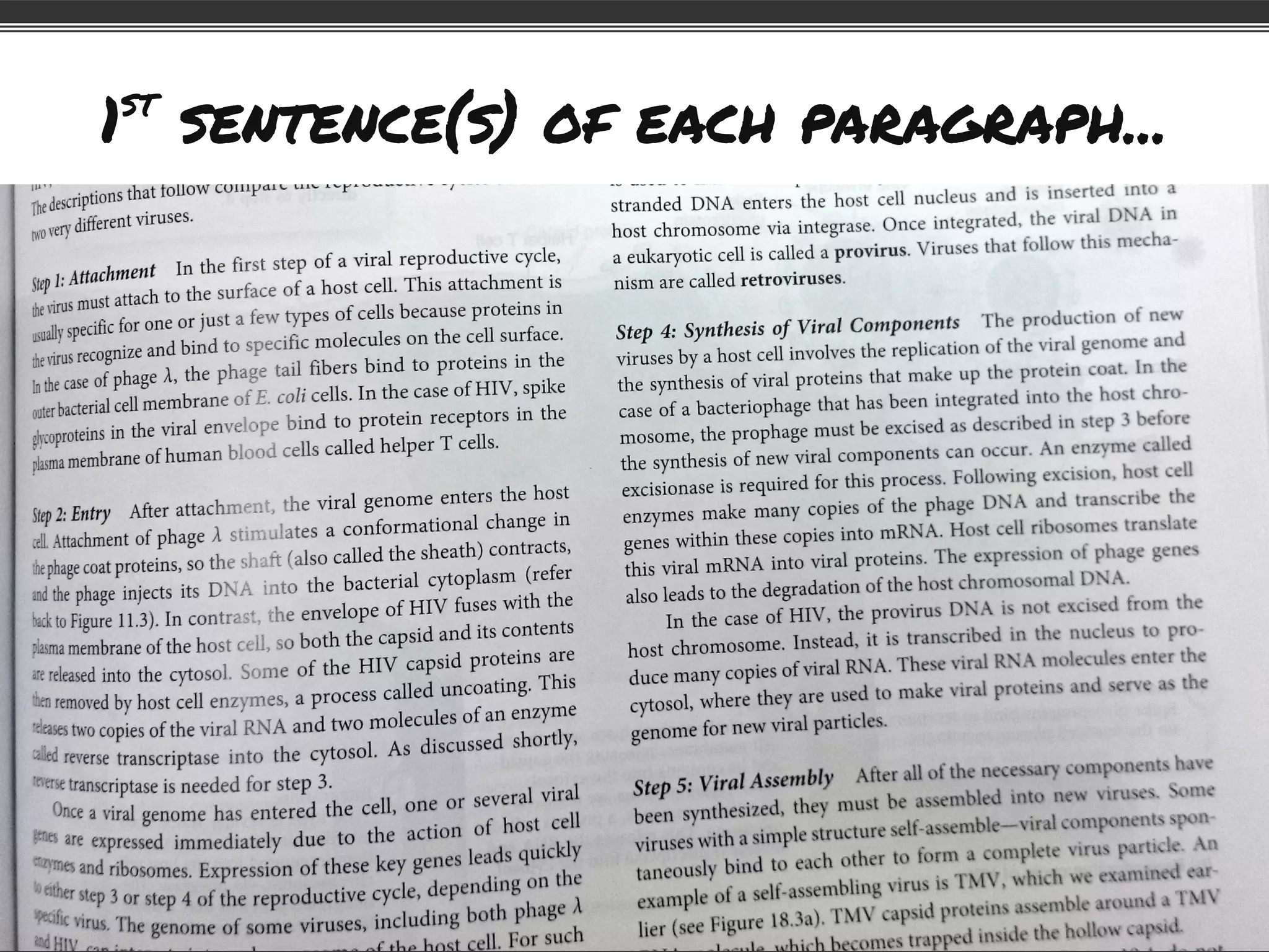 1st
sentence(s) of each paragraph...
 