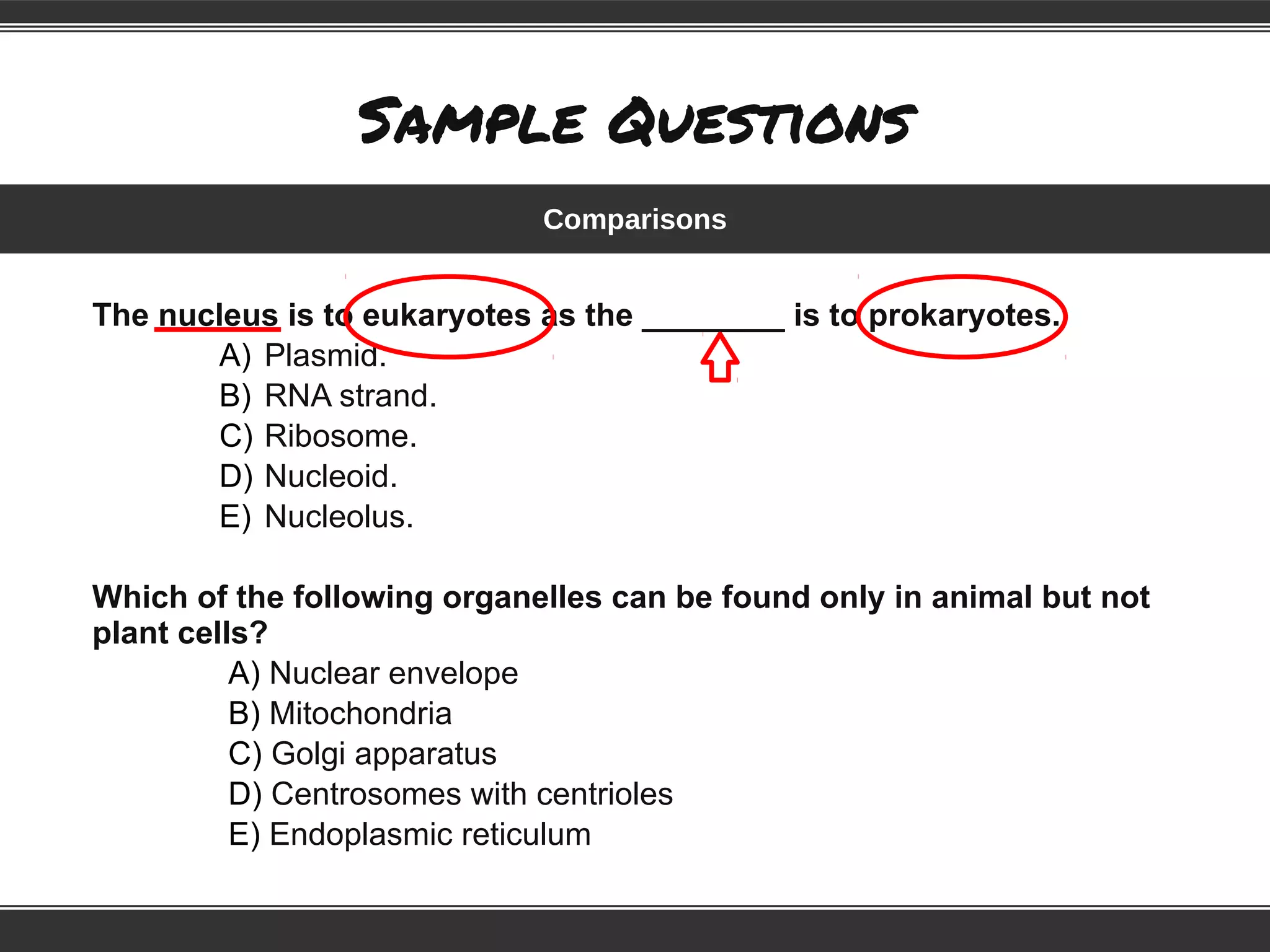 Sample Questions
The nucleus is to eukaryotes as the ________ is to prokaryotes.
A) Plasmid.
B) RNA strand.
C) Ribosome.
D) Nucleoid.
E) Nucleolus.
Which of the following organelles can be found only in animal but not
plant cells?
A) Nuclear envelope
B) Mitochondria
C) Golgi apparatus
D) Centrosomes with centrioles
E) Endoplasmic reticulum
Comparisons
 