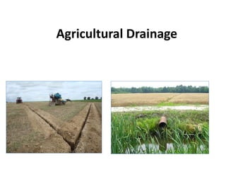 Agricultural Drainage
 