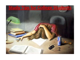 Study Tips for College Students