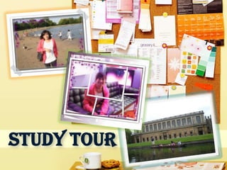 Study tour
 