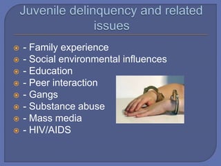  - Family experience
 - Social environmental influences
 - Education
 - Peer interaction
 - Gangs
 - Substance abuse
 - Mass media
 - HIV/AIDS
 