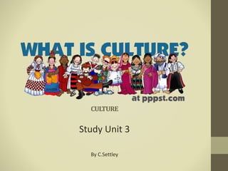 CULTURE
Study Unit 3
By C.Settley
 