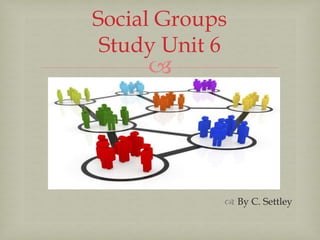 
 By C. Settley
Social Groups
Study Unit 6
 