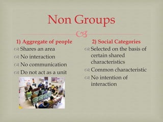 Social groups | PPTX