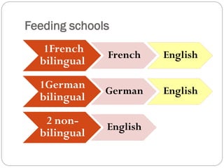 Feeding schools
1French
bilingual
French English
1German
bilingual
German English
2 non-
bilingual
English
 