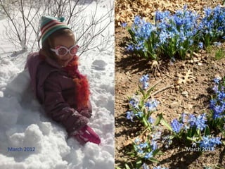 March 2012 March 2013
 