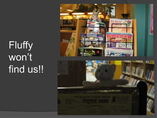 Fluffy won’t find us!!