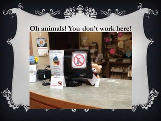 Oh animals! You don’t work here!
 