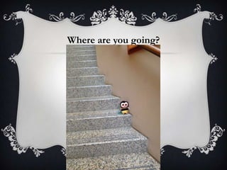 Where are you going?
 