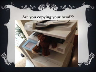 Are you copying your head??
 