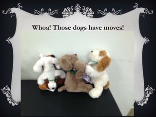 Whoa! Those dogs have moves!
 