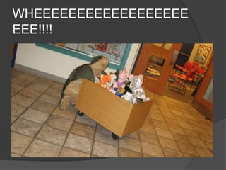 WHEEEEEEEEEEEEEEEEEEEEE!!!!