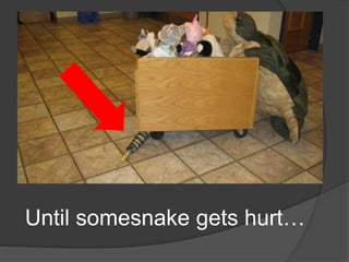 Until somesnake gets hurt…