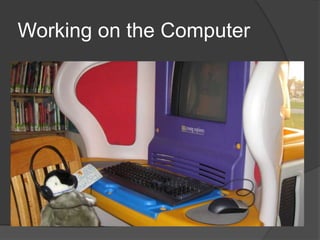 Working on the Computer