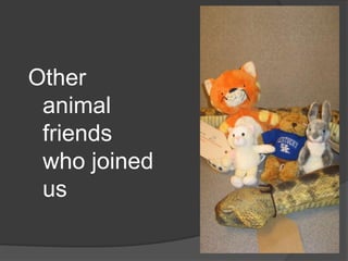 Other animal friends who joined us