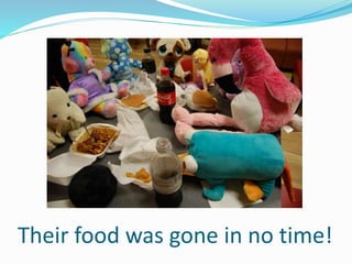 Their food was gone in no time!
 