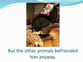 But the other animals befriended
him anyway.
 