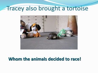 Tracey also brought a tortoise
Whom the animals decided to race!
 
