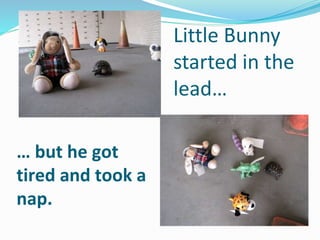 Little Bunny
started in the
lead…
… but he got
tired and took a
nap.
 
