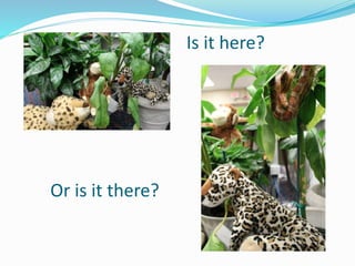 Is it here?
Or is it there?
 