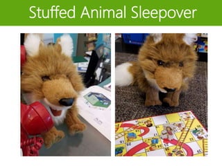 Stuffed Animal Sleepover
 