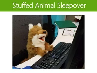 Stuffed Animal Sleepover
 