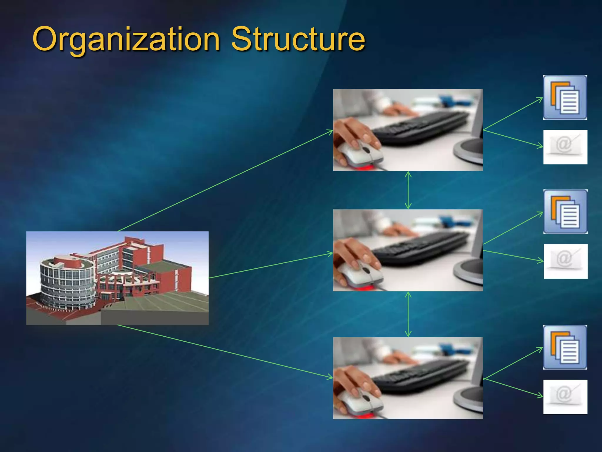 Organization Structure
 