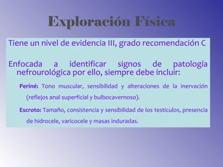 Exploración Física
Tiene un nivel de evidencia III, grado recomendación C
Enfocada a identificar signos de patología
nefrourológica por ello, siempre debe incluir:
Periné: Tono muscular, sensibilidad y alteraciones de la inervación
(reflejos anal superficial y bulbocavernoso).
Escroto: Tamaño, consistencia y sensibilidad de los testículos, presencia
de hidrocele, varicocele y masas induradas.
 