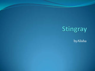 Stingray byAlisha 