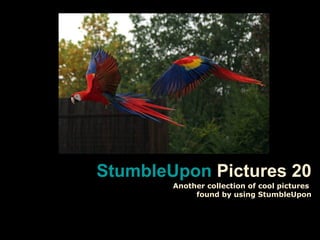 StumbleUponStumbleUpon Pictures 20
Another collection of cool pictures
found by using StumbleUpon
 