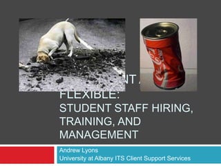 Persistent and Flexible: Student staff hiring, training, and management