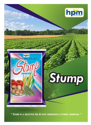 “ STUMP IS A SELECTIVE PRE & POST EMERGENCE SYSTEMIC HERBICIDE. ”
 