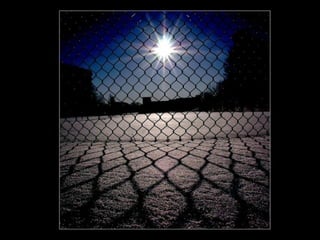 Stunning Examples Of Shadow Photography | PPS